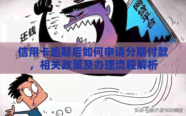 信用卡逾期后如何申请分期付款，相关政策及办理流程解析