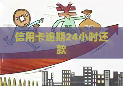 信用卡逾期24小时还款