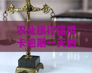 农业银行信用卡逾期一天的影响与应对策略