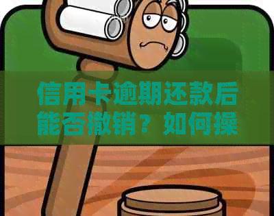 信用卡逾期还款后能否撤销？如何操作？