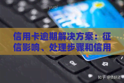 信用卡逾期解决方案：影响、处理步骤和信用修复建议一文详解