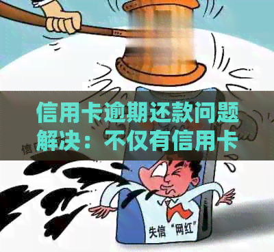信用卡逾期还款问题解决：不仅有信用卡，还支持多种借贷方式的软件推荐
