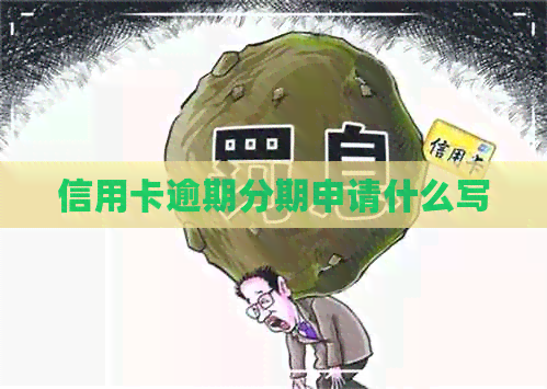 信用卡逾期分期申请什么写