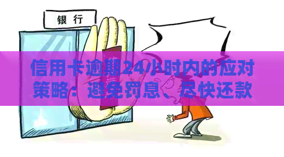 信用卡逾期24小时内的应对策略：避免罚息、尽快还款并恢复信用