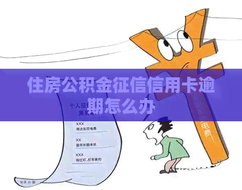 住房公积金信用卡逾期怎么办