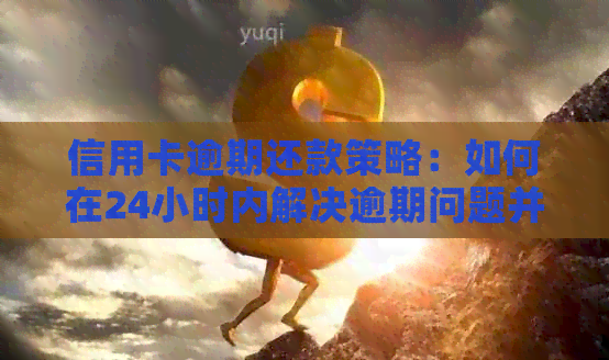 信用卡逾期还款策略：如何在24小时内解决逾期问题并避免影响信用？