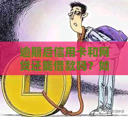 逾期后信用卡和网贷还能借款吗？如何处理？