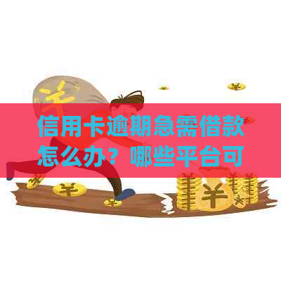 信用卡逾期急需借款怎么办？哪些平台可以提供帮助？(不包含支付宝、微信等)