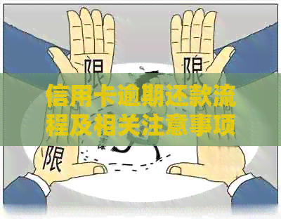 信用卡逾期还款流程及相关注意事项