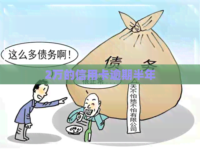 2万的信用卡逾期半年