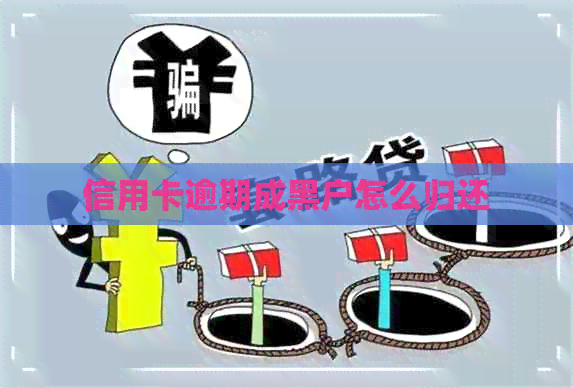 信用卡逾期成黑户怎么归还