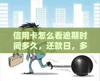 信用卡怎么看逾期时间多久，还款日，多少天，具体时间查询。