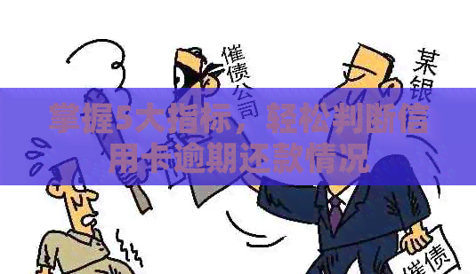 掌握5大指标，轻松判断信用卡逾期还款情况