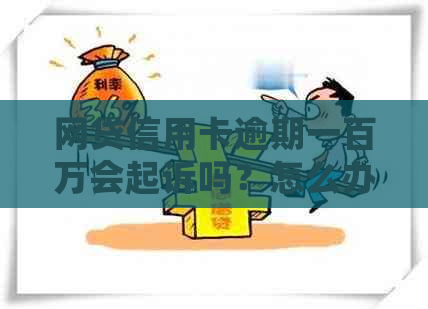 网贷信用卡逾期一百万会起诉吗？怎么办？