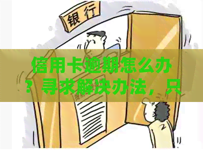信用卡逾期怎么办？寻求解决办法，只还本金的流程和停息挂账操作