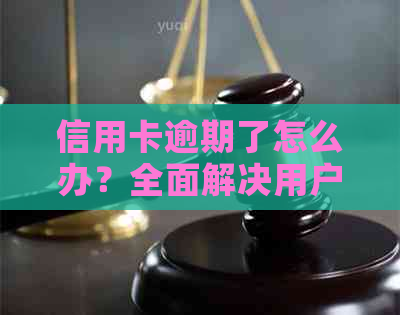 信用卡逾期了怎么办？全面解决用户可能搜索的相关问题