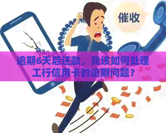 逾期6天后还款，我该如何处理工行信用卡的逾期问题？