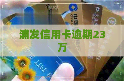 浦发信用卡逾期23万