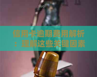 信用卡逾期费用解析：理解这些关键因素有助于降低负担