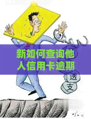 新如何查询他人信用卡逾期记录？掌握这些方法，轻松获取信息！