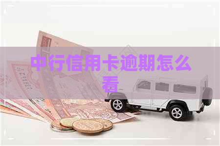 中行信用卡逾期怎么看