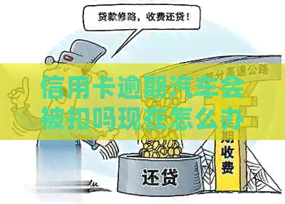 信用卡逾期汽车会被扣吗现在怎么办？