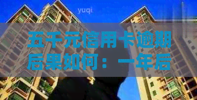 五千元信用卡逾期后果如何：一年后的影响和处理方式