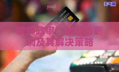 教师政审：逾期的影响及其解决策略