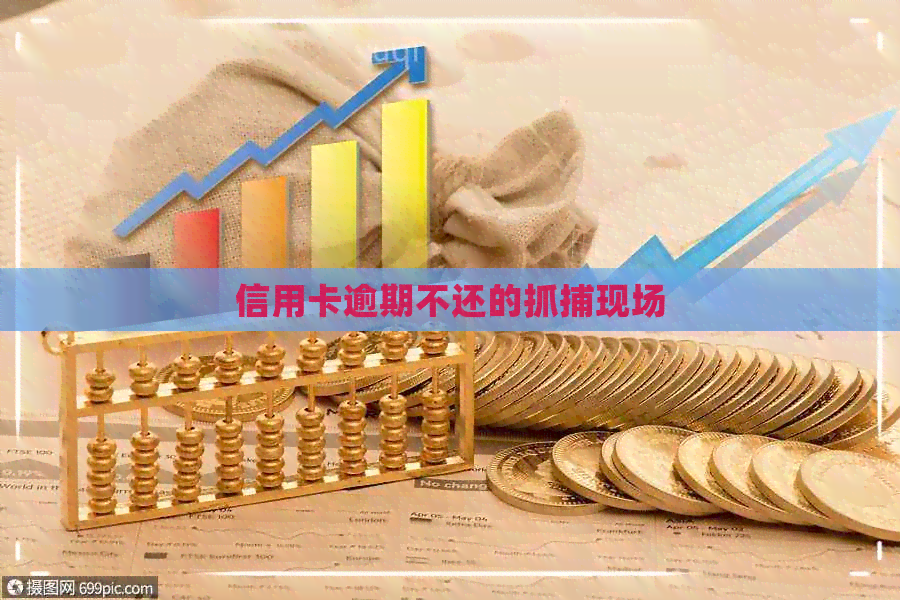 信用卡逾期不还的抓捕现场