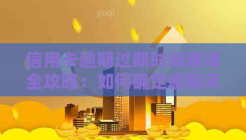 信用卡逾期过期时间查询全攻略：如何确定逾期天数及处理方法？