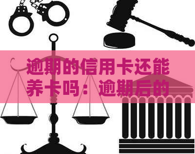逾期的信用卡还能养卡吗：逾期后的信用卡是否可以继续使用及申请新的卡片。