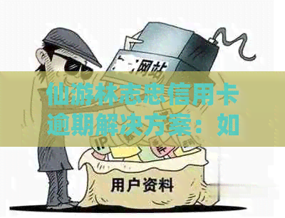 仙游林志忠信用卡逾期解决方案：如何应对、期还款等详细指南