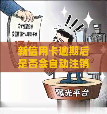 新信用卡逾期后是否会自动注销账户？了解逾期还款对信用记录的影响