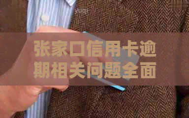 张家口信用卡逾期相关问题全面解答：逾期原因、影响、处理办法及如何预防