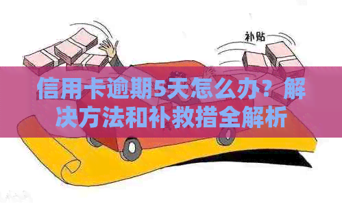 信用卡逾期5天怎么办？解决方法和补救措全解析