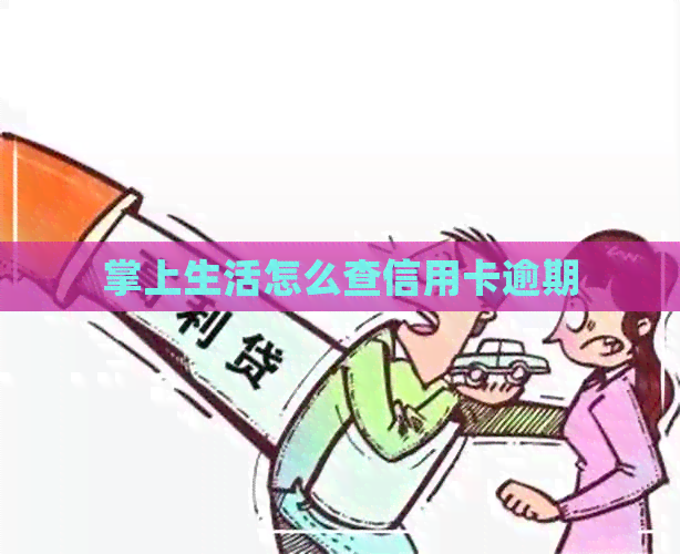 掌上生活怎么查信用卡逾期
