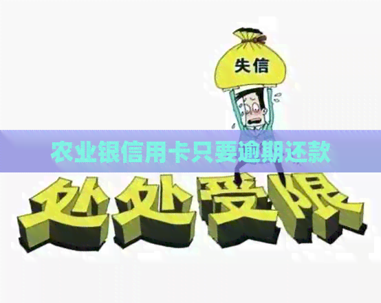 农业银信用卡只要逾期还款