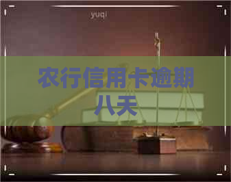 农行信用卡逾期八天