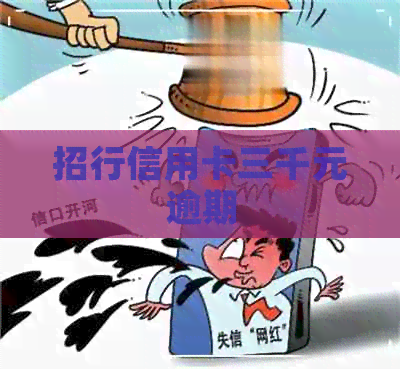 招行信用卡三千元逾期