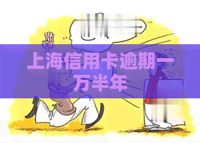 上海信用卡逾期一万半年