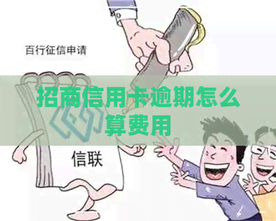 招商信用卡逾期怎么算费用
