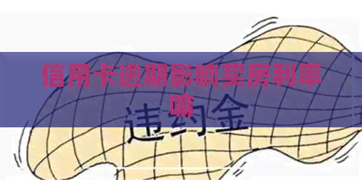 信用卡逾期影响买房利率嘛