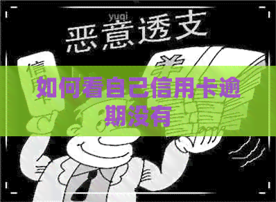 如何看自己信用卡逾期没有