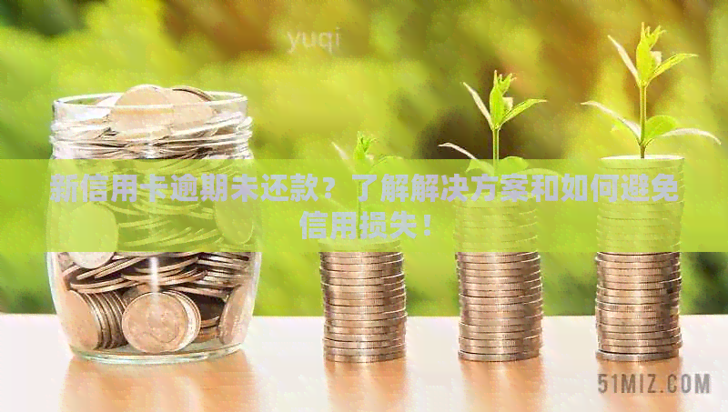 新信用卡逾期未还款？了解解决方案和如何避免信用损失！