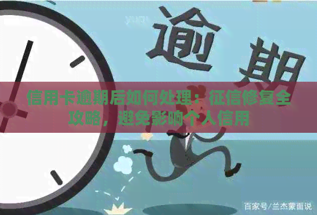 信用卡逾期后如何处理：修复全攻略，避免影响个人信用