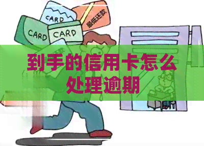 到手的信用卡怎么处理逾期