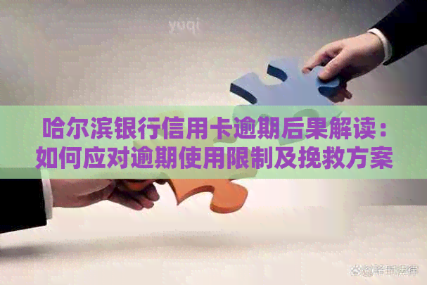 哈尔滨银行信用卡逾期后果解读：如何应对逾期使用限制及挽救方案