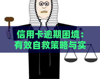 信用卡逾期困境：有效自救策略与实践建议