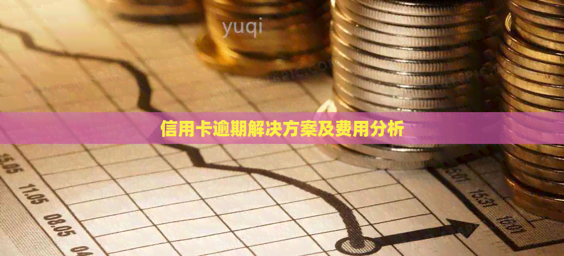 信用卡逾期解决方案及费用分析