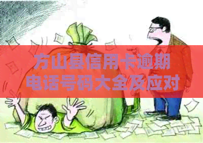 方山县信用卡逾期电话号码大全及应对策略，解决用户还款相关问题